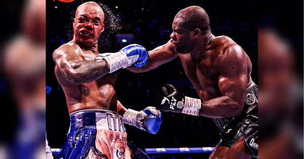 Dubois — Wardley: video review of the bloody heavyweight carnage for Usyk's former belt