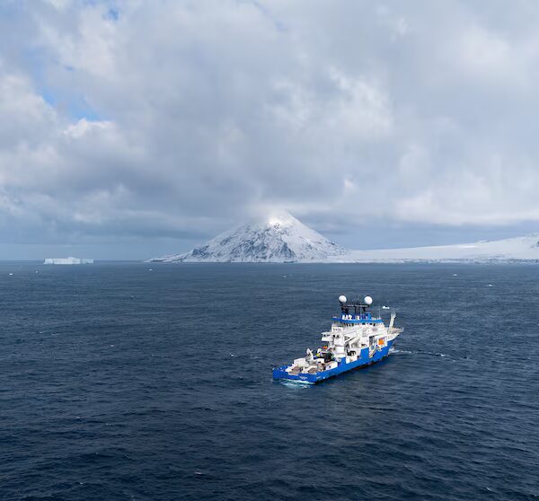Ocean Researchers Unearth Unprecedented Species Count