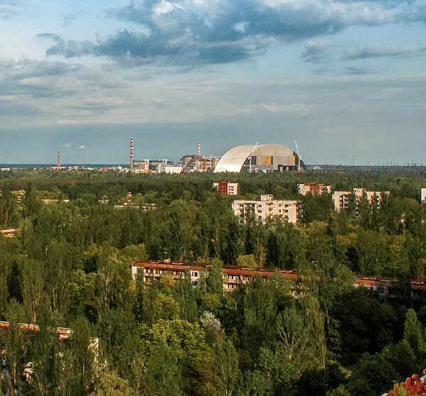 Chernobyl Area Teeming with Big Wildlife, Researchers Find