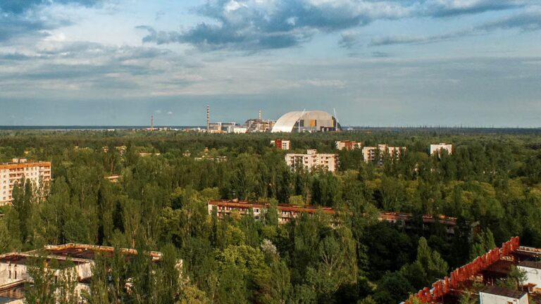 Chernobyl Area Teeming with Big Wildlife, Researchers Find 3