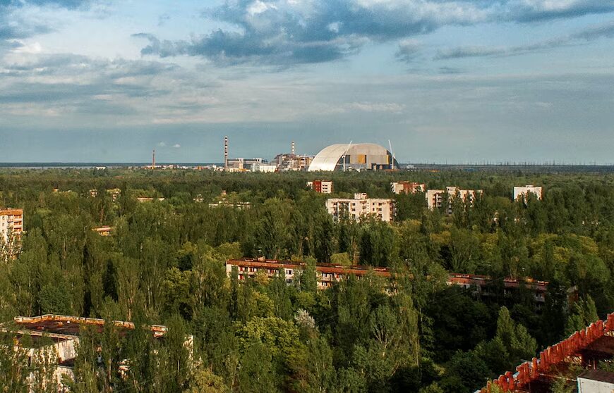 Chernobyl Area Teeming with Big Wildlife, Researchers Find