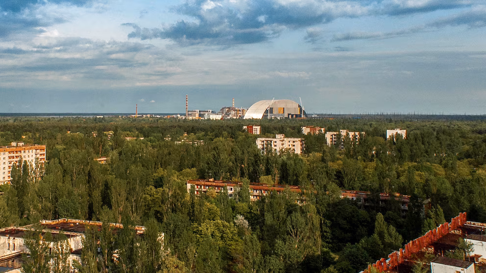 Chernobyl Area Teeming with Big Wildlife, Researchers Find 7