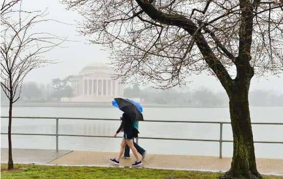 The Meaningful Little Rituals of Capital Weather Gang