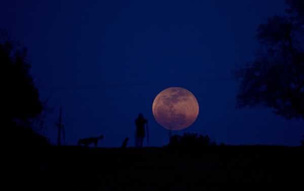 Super Wolf Blood Moon Seen Around the Globe (VIDEO)