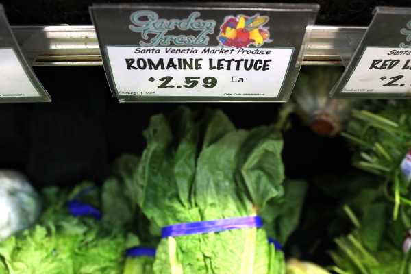 It’s still not safe to eat romaine lettuce