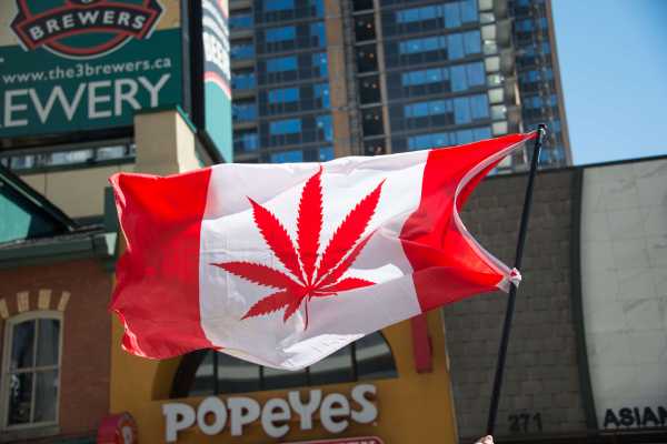 Toronto police to Canadians: stop snitching on your neighbors about marijuana