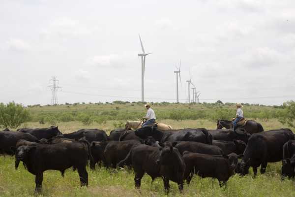 The best place in America to ramp up renewable energy could be Texas