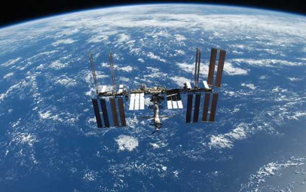 Russian Firm Mulls Sending Duplicate 3D Bioprinter to ISS After Soyuz Failure